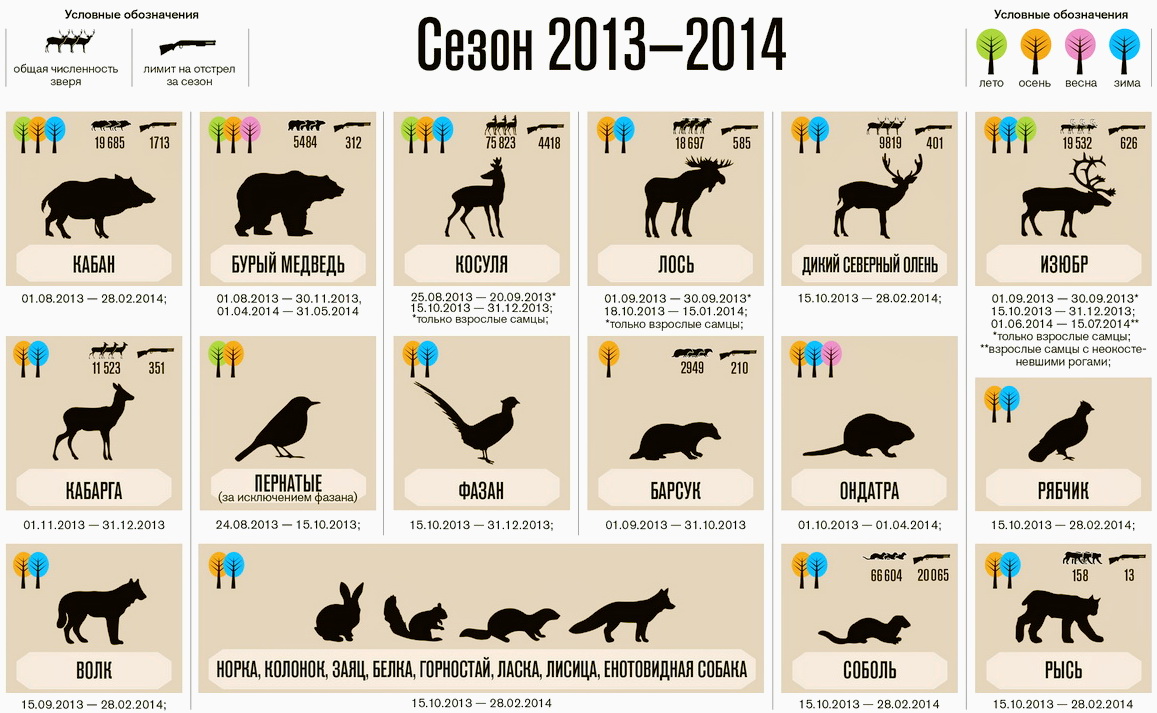 Сроки охоты в Амурской области и Приамурье на 2014 год