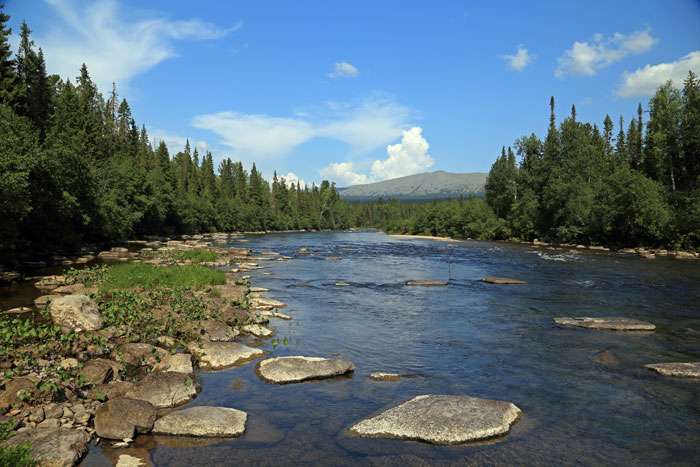 Вишерский заповедник